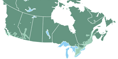Select your area/region below to view coverage.